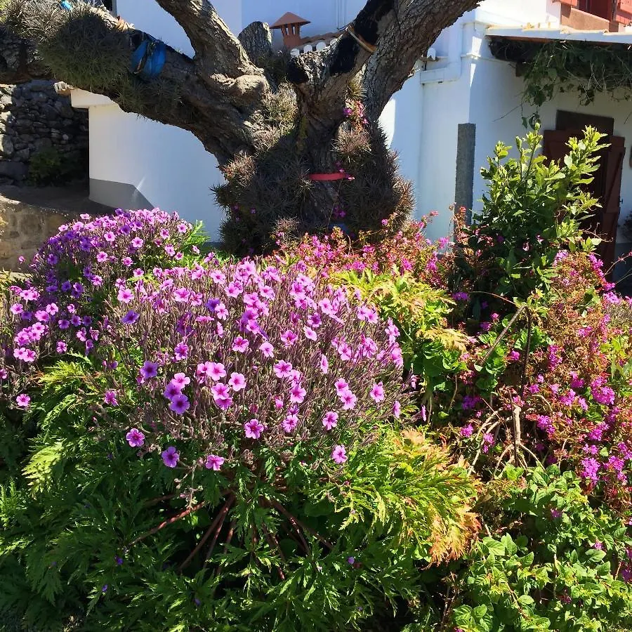Holiday home Sea-View House In Faja Da Ovelha With Garden And Terrace Villa Portugal