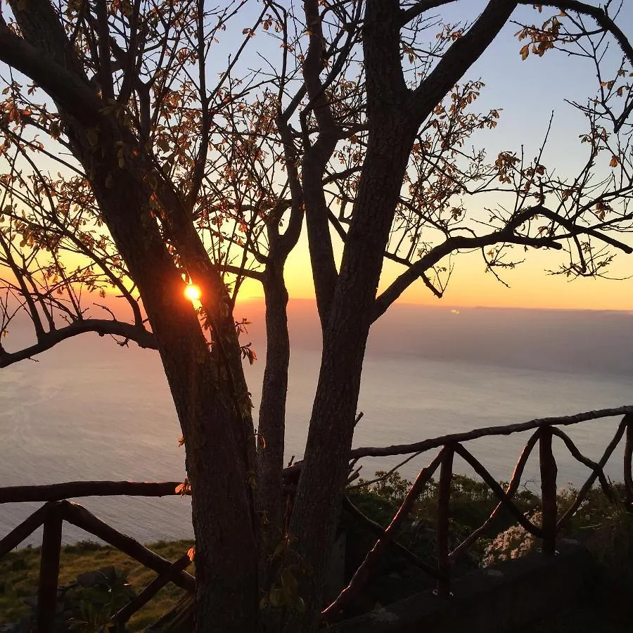 Holiday home Sea-View House In Faja Da Ovelha With Garden And Terrace Villa